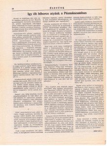 Eletunk_1975_junius_1_14old_kisebb_felbontas
