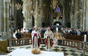 img1 (7)